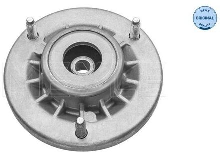 BMW Veerpoot 3003133131