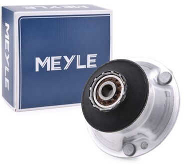 BMW Veerpoot 3003133601