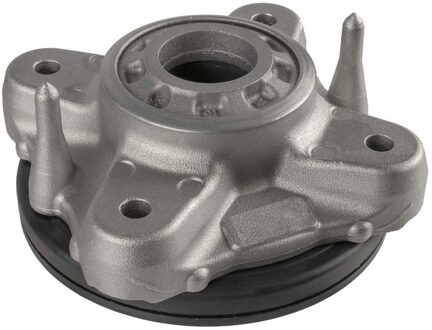 BMW Veerpoot 4511401