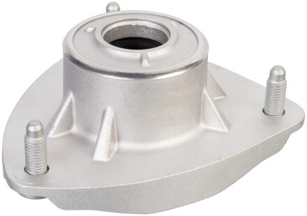 BMW veerpootvoering 172274