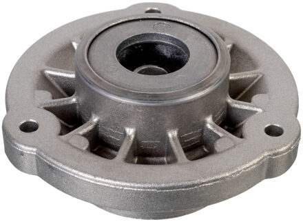 BMW veerpootvoering 174258