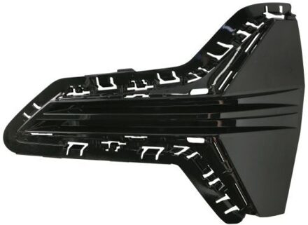 BMW Ventilatiegrille, bumper 5513000064921LP