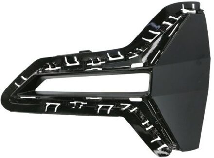 BMW Ventilatiegrille, bumper 5513000064923LP