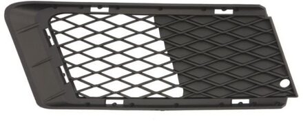 BMW Ventilatiegrille, bumper 65020700629914Q