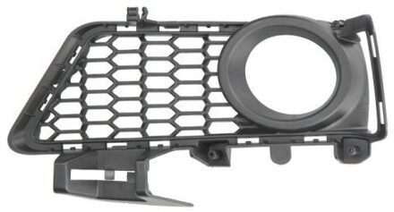 BMW Ventilatiegrille, bumper 6502070063913PP