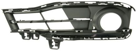 BMW Ventilatiegrille, bumper 6502070063914SP