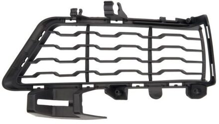 BMW Ventilatiegrille, bumper 6502070063917RP