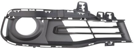 BMW Ventilatiegrille, bumper 6502070063918BP