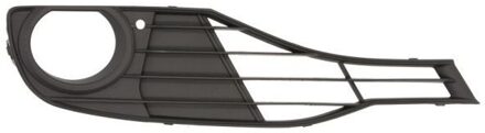 BMW Ventilatiegrille, bumper 65020700639916P