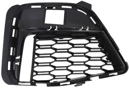 BMW Ventilatiegrille, bumper 6502070064924MP