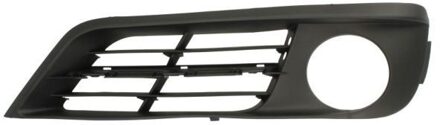 BMW Ventilatiegrille, bumper 6502070067929GP