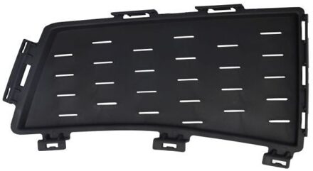 BMW Ventilatiegrille, bumper 6502070067941P