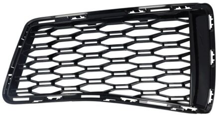 BMW Ventilatiegrille, bumper 6502070067945P
