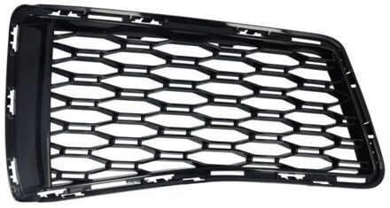 BMW Ventilatiegrille, bumper 6502070067946P