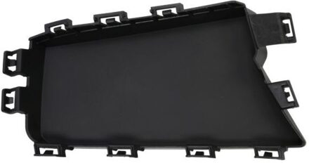 BMW Ventilatiegrille, bumper 6502070070911MP