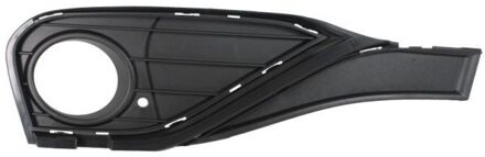 BMW Ventilatiegrille, bumper 6502070070913SP