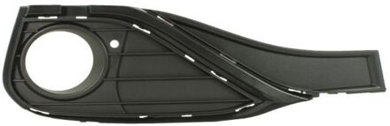 BMW Ventilatiegrille, bumper 6502070070914SP