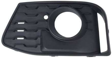BMW Ventilatiegrille, bumper 6502070071903MP