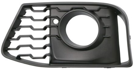 BMW Ventilatiegrille, bumper 6502070071905MP
