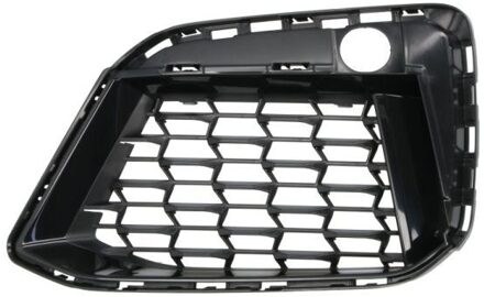 BMW Ventilatiegrille, bumper 6502070072913MP