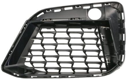 BMW Ventilatiegrille, bumper 6502070072914MP