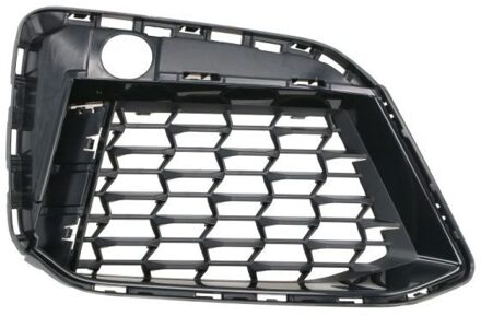 BMW Ventilatiegrille, bumper 6502070072915MP