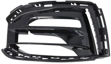 BMW Ventilatiegrille, bumper 6502070073925LP