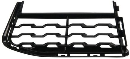 BMW Ventilatiegrille, bumper 6502070078913MP