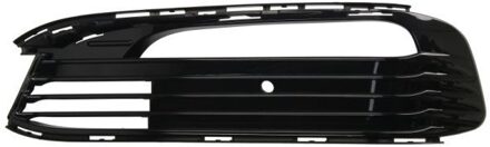 BMW Ventilatiegrille, bumper 6502070078915P