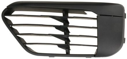 BMW Ventilatiegrille, bumper 6502070082913P