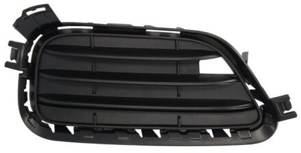 BMW Ventilatiegrille, bumper 6502070093913NP