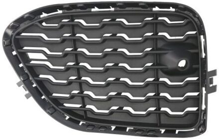 BMW Ventilatiegrille, bumper 6502070093914P