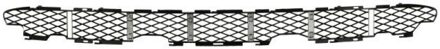 BMW Ventilatiegrille, bumper 6502070095910P