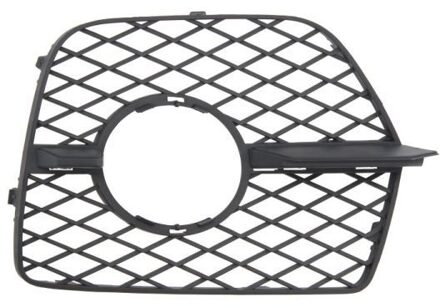 BMW Ventilatiegrille, bumper 6502070096911NP
