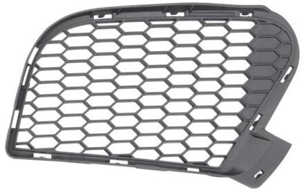 BMW Ventilatiegrille, bumper 6502070096914P
