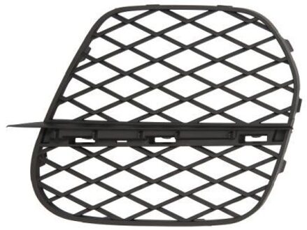 BMW Ventilatiegrille, bumper 6502070096926P
