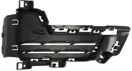 BMW Ventilatiegrille, bumper 6502070097914WP