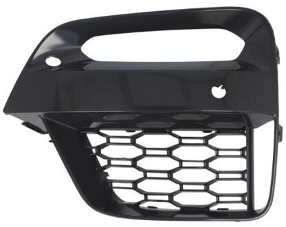 BMW Ventilatiegrille, bumper 6502070097993MP