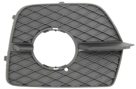 BMW Ventilatiegrille, bumper 6502070099911P