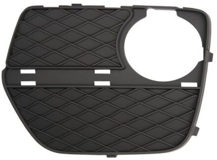BMW Ventilatiegrille, bumper 6502070099913P
