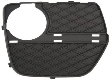 BMW Ventilatiegrille, bumper 6502070099914P