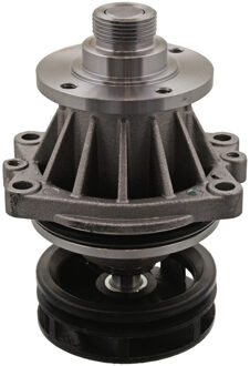 BMW Waterpomp 01293