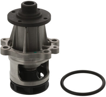 BMW Waterpomp 01295