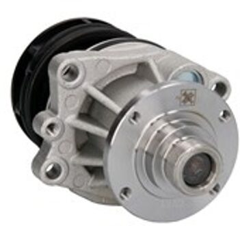 BMW Waterpomp 538009210