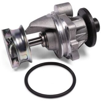 BMW Waterpomp P429