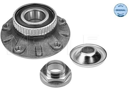 BMW Wielnaaf 3006520008