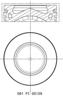 BMW Zuiger 081PI00129002
