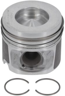 BMW Zuiger 8743220030