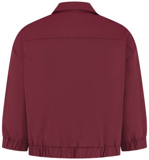 Bobby - maat XL Bordeaux