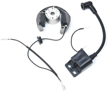 Bobine Magnetische spoel Stator Vliegwiel ROTOR KTM50 Voor KTM 50 SX 50cc Pro Senior Junior SR JR SX50 KTM50 2001